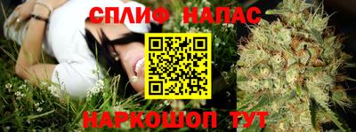 прущие грибы Пугачёв
