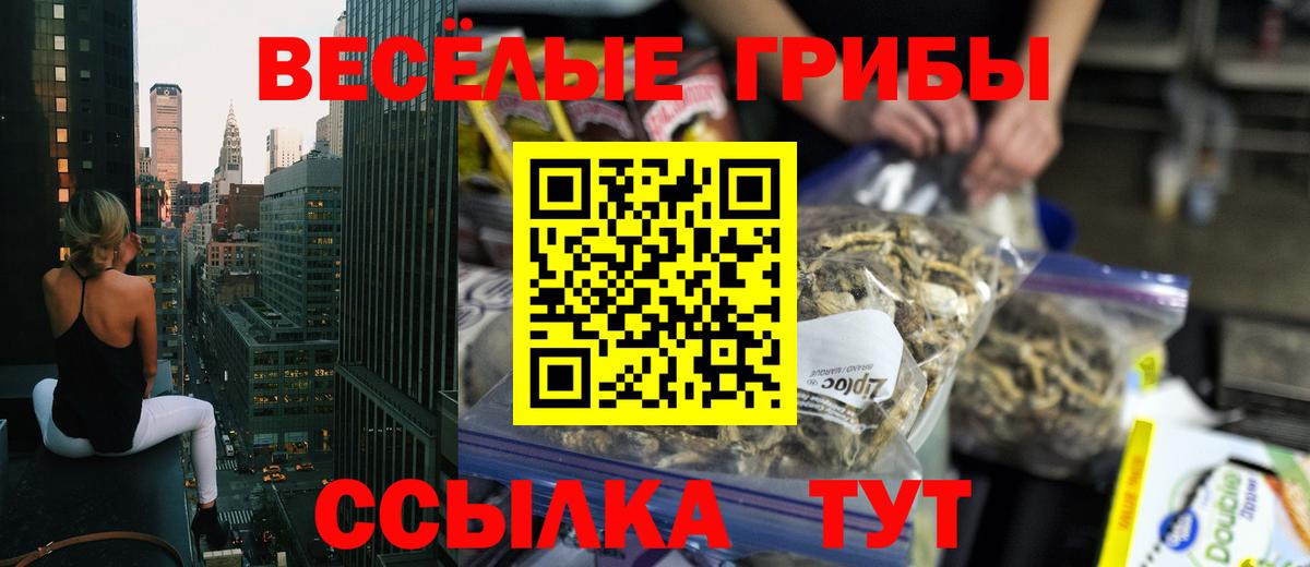 Похвистнево  магазин продажи наркотиков  Вход с VPN  Галлюциногенные грибы GOLDEN TEACHER 